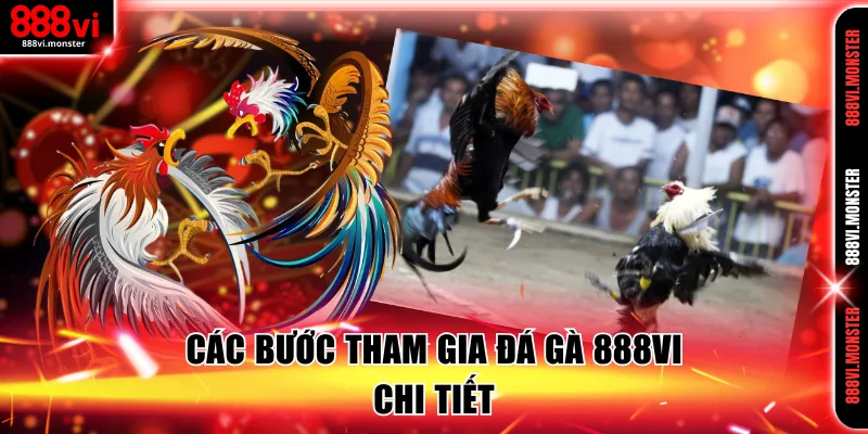 Các bước tham gia đá gà 888VI chi tiết