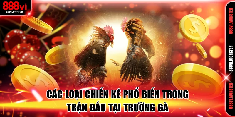 Các loại chiến kê phổ biến trong trận đấu tại trường gà
