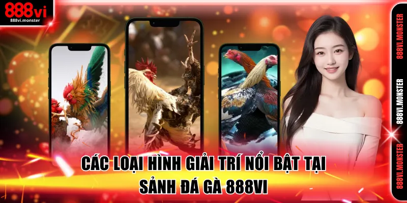 Các loại hình giải trí nổi bật nên trải nghiệm tại đá gà 888VI
