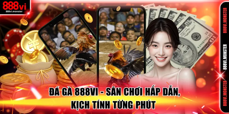 Đá Gà 888VI - Sân Chơi Cược Hấp Dẫn, Kịch Tính Từng Phút